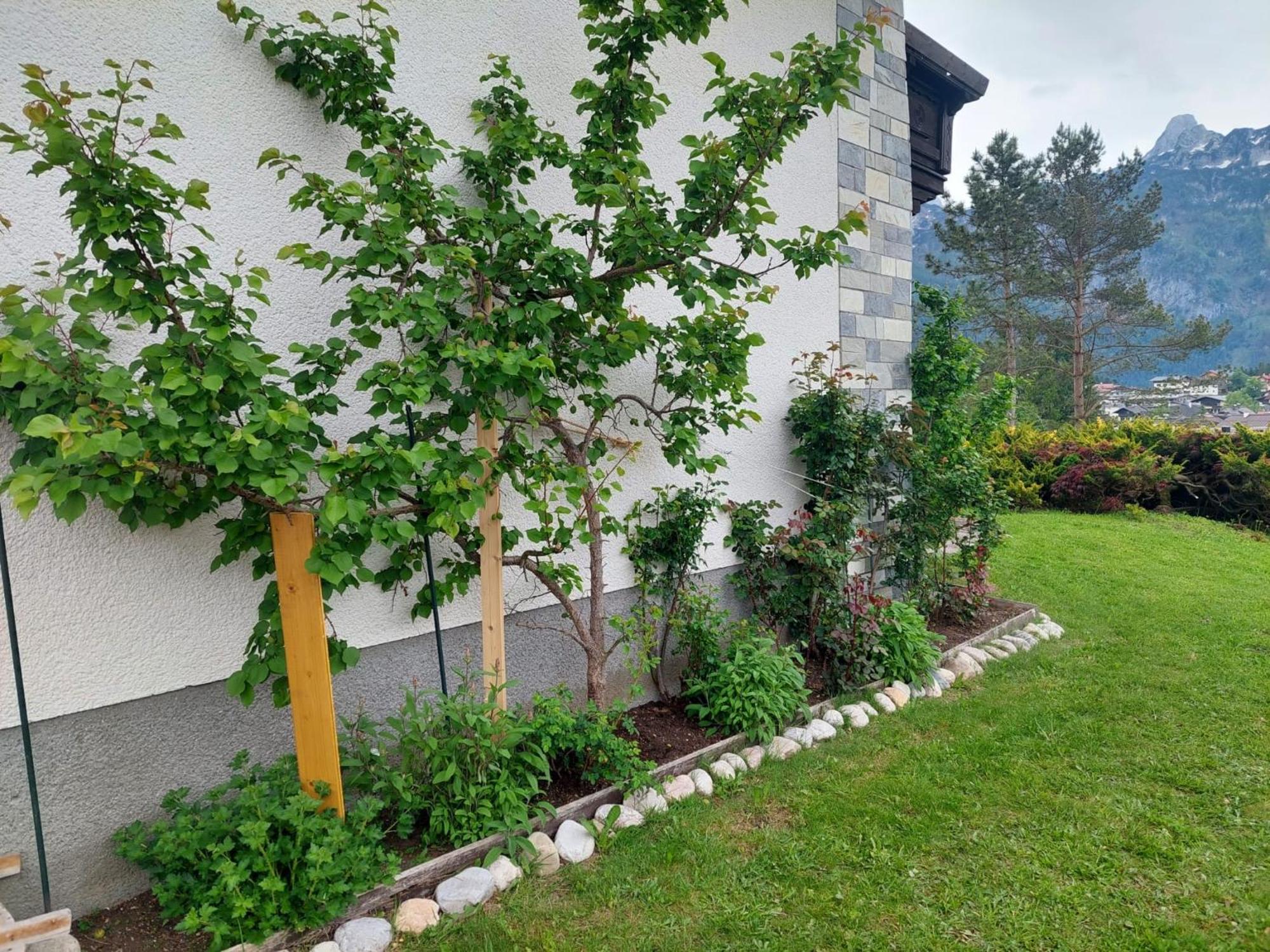 Privatzimmer Pendl Abtenau Exterior foto
