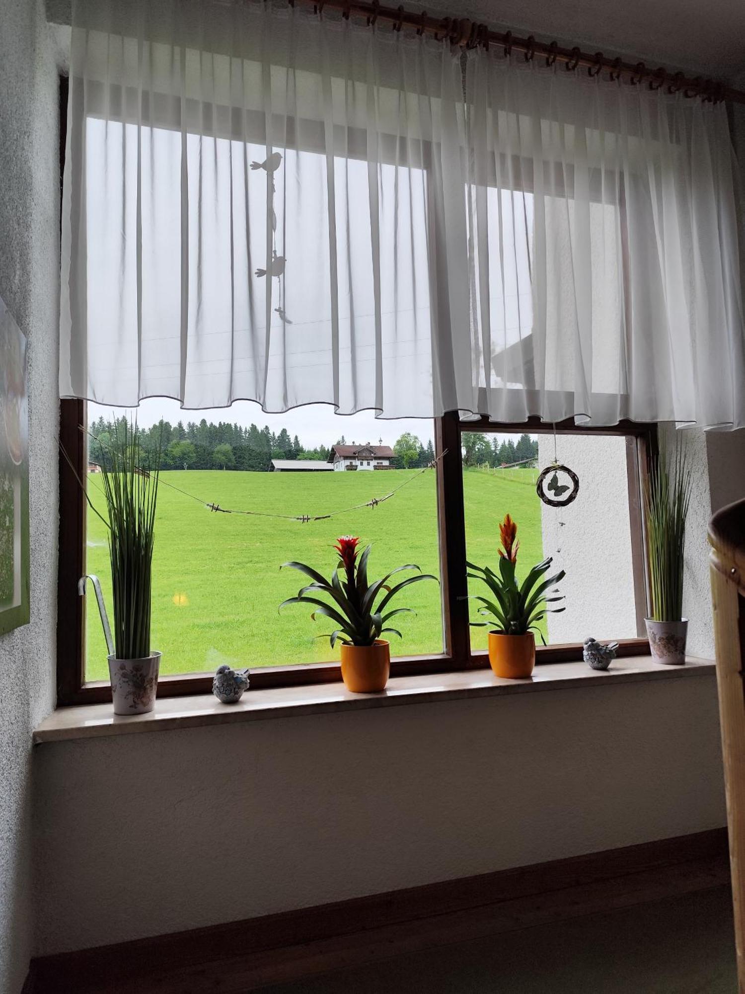Privatzimmer Pendl Abtenau Exterior foto